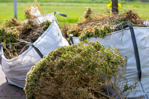 Best Furniture Removal Near Me  in Minturn, CO